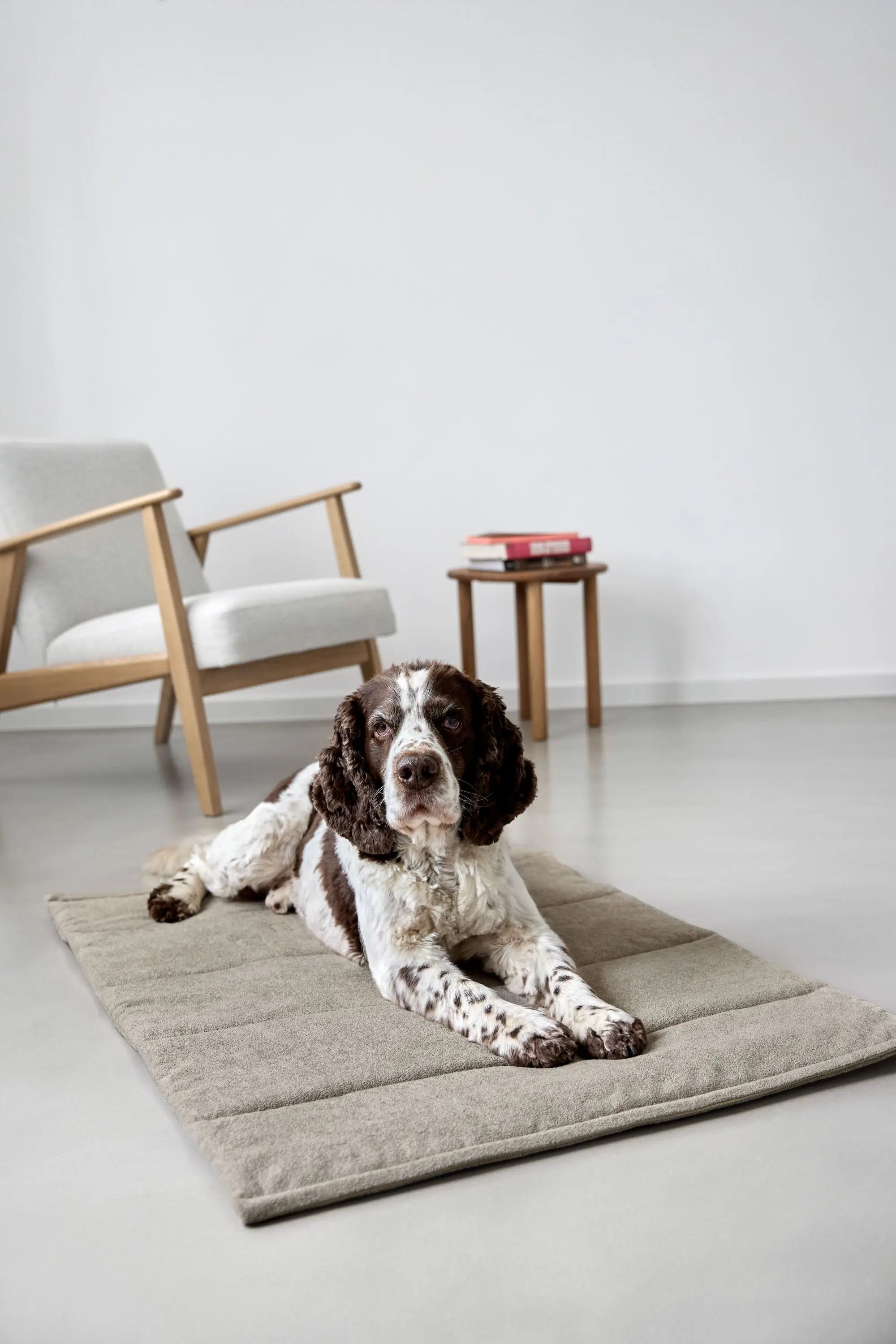 Dog mat - Alma, Greige