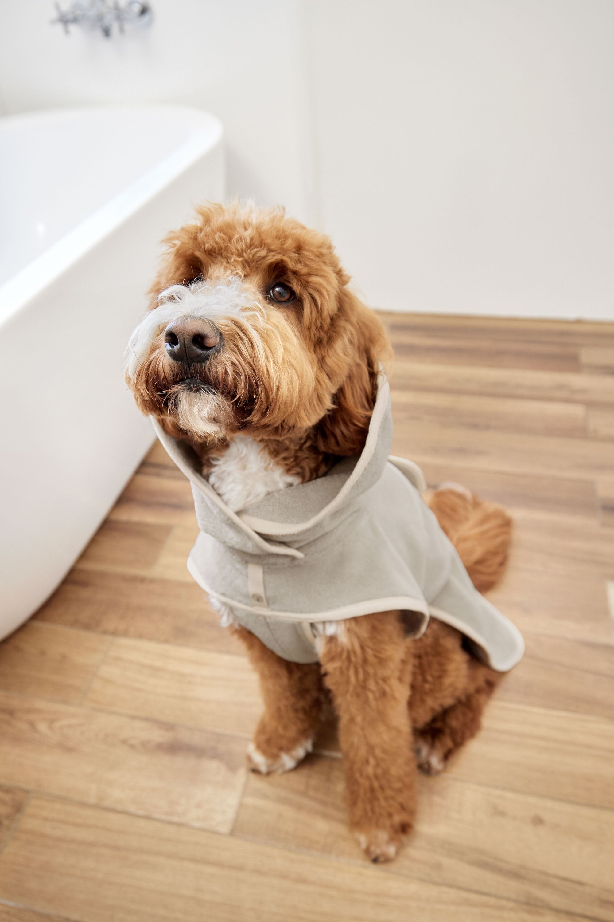 Peignoir pour chien - Robi, beige