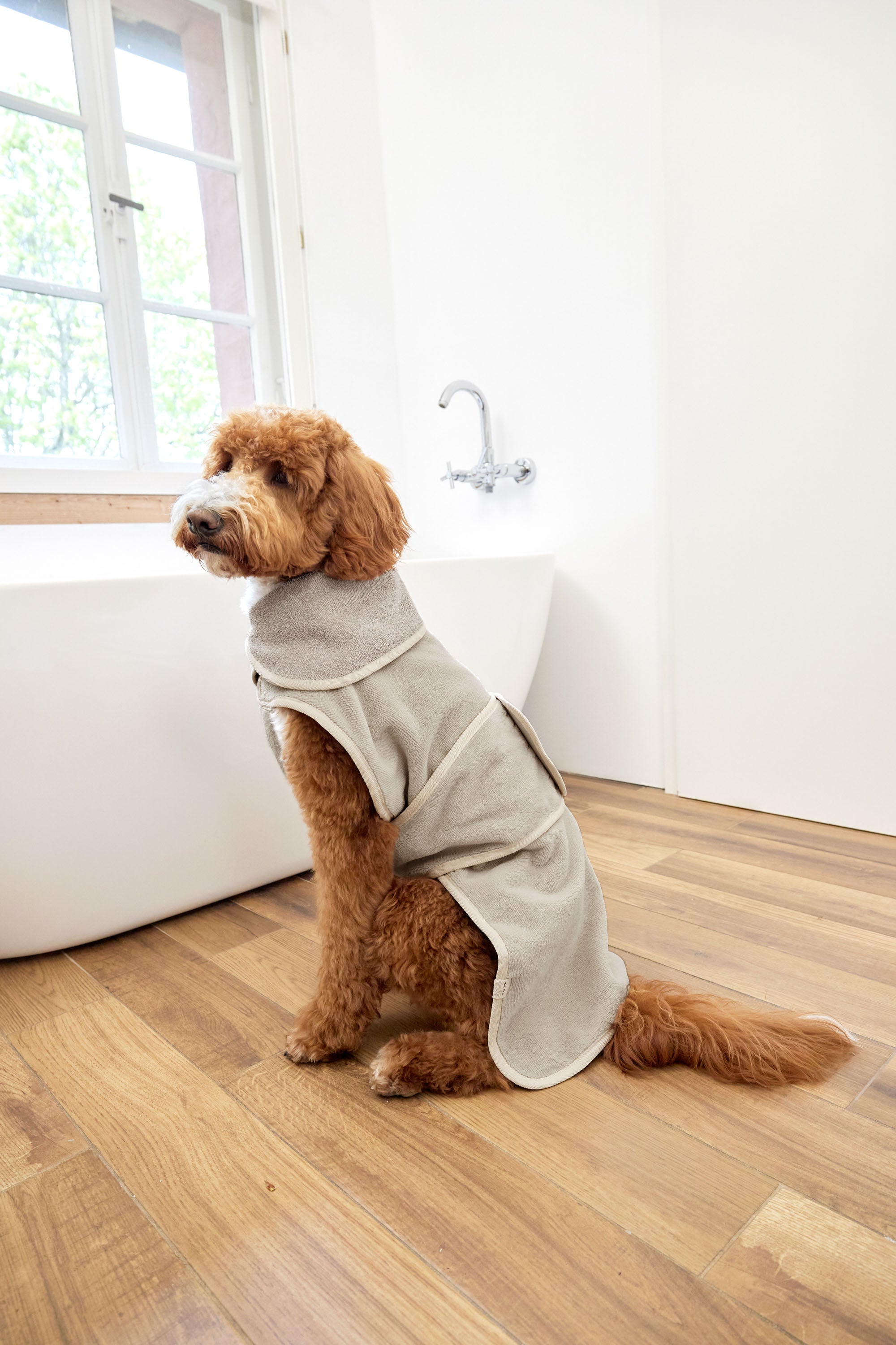 Peignoir pour chien - Robi, beige