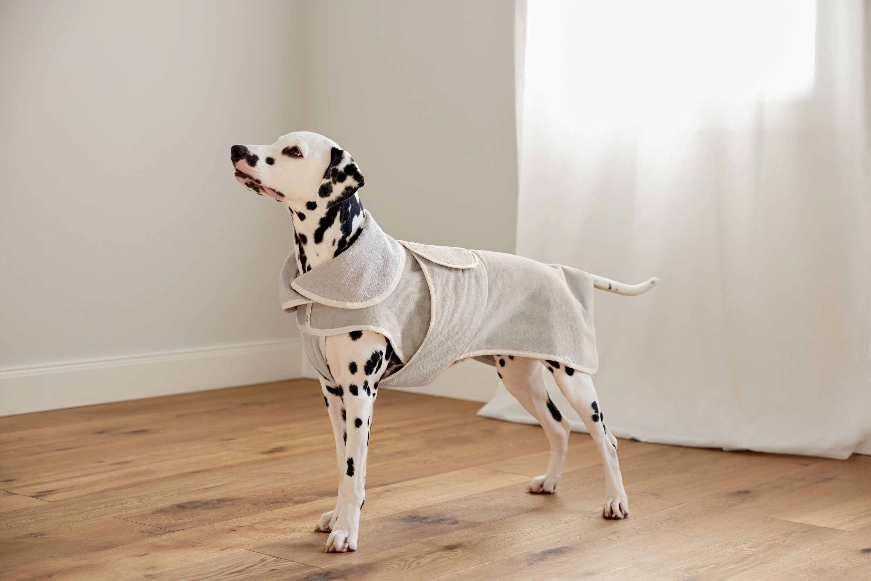 Peignoir pour chien - Robi, beige