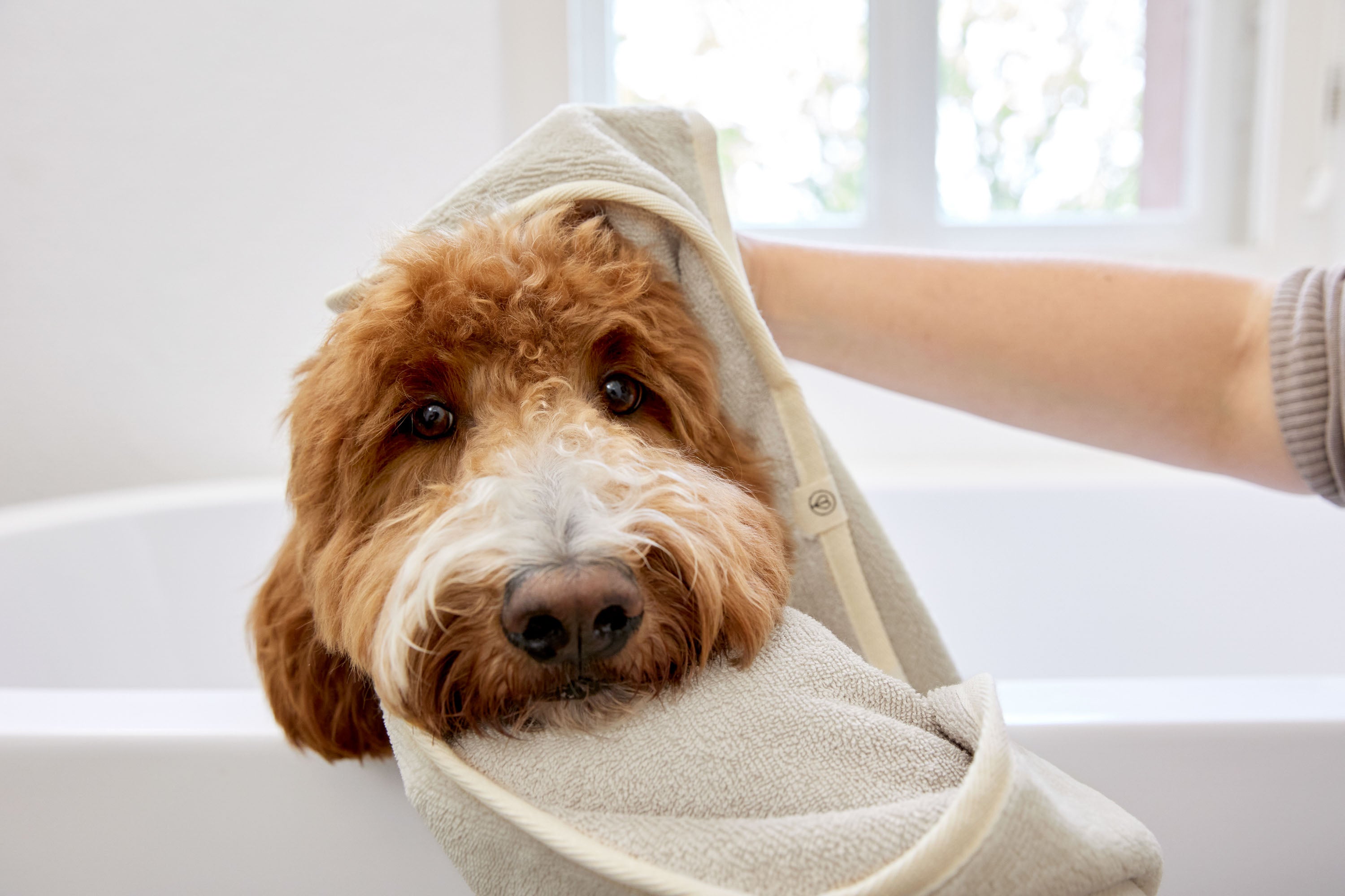 Dog towel - Kosy, beige