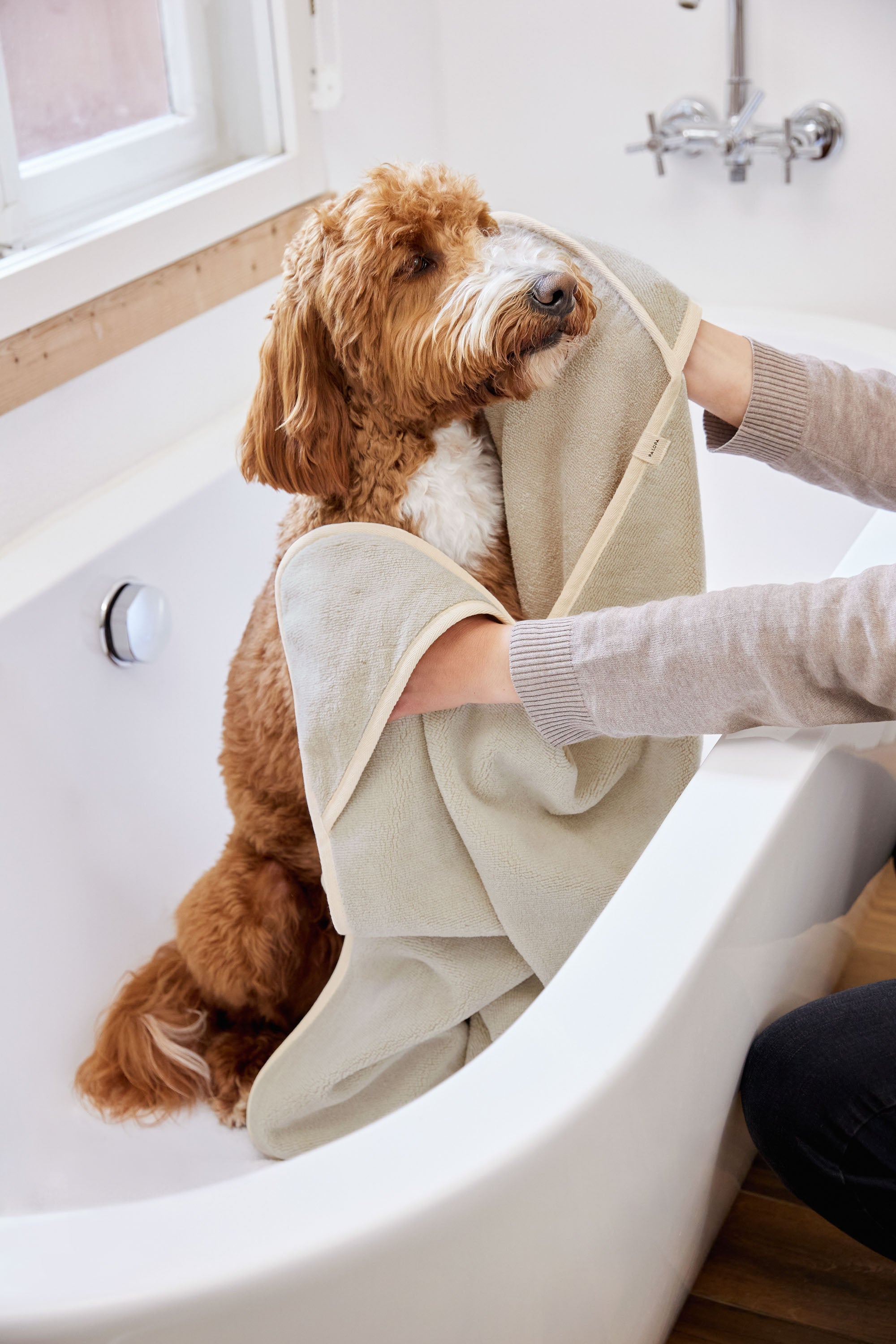 Serviette pour chien - Kosy, beige