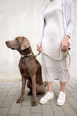 Hundehalsband geflochten - Mila, Natur