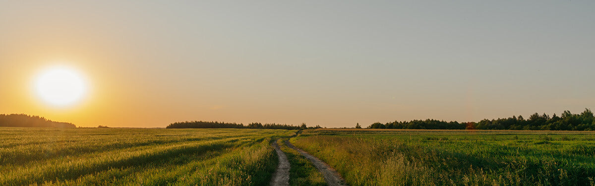 Natur - Sonnenuntergang über Wiesen