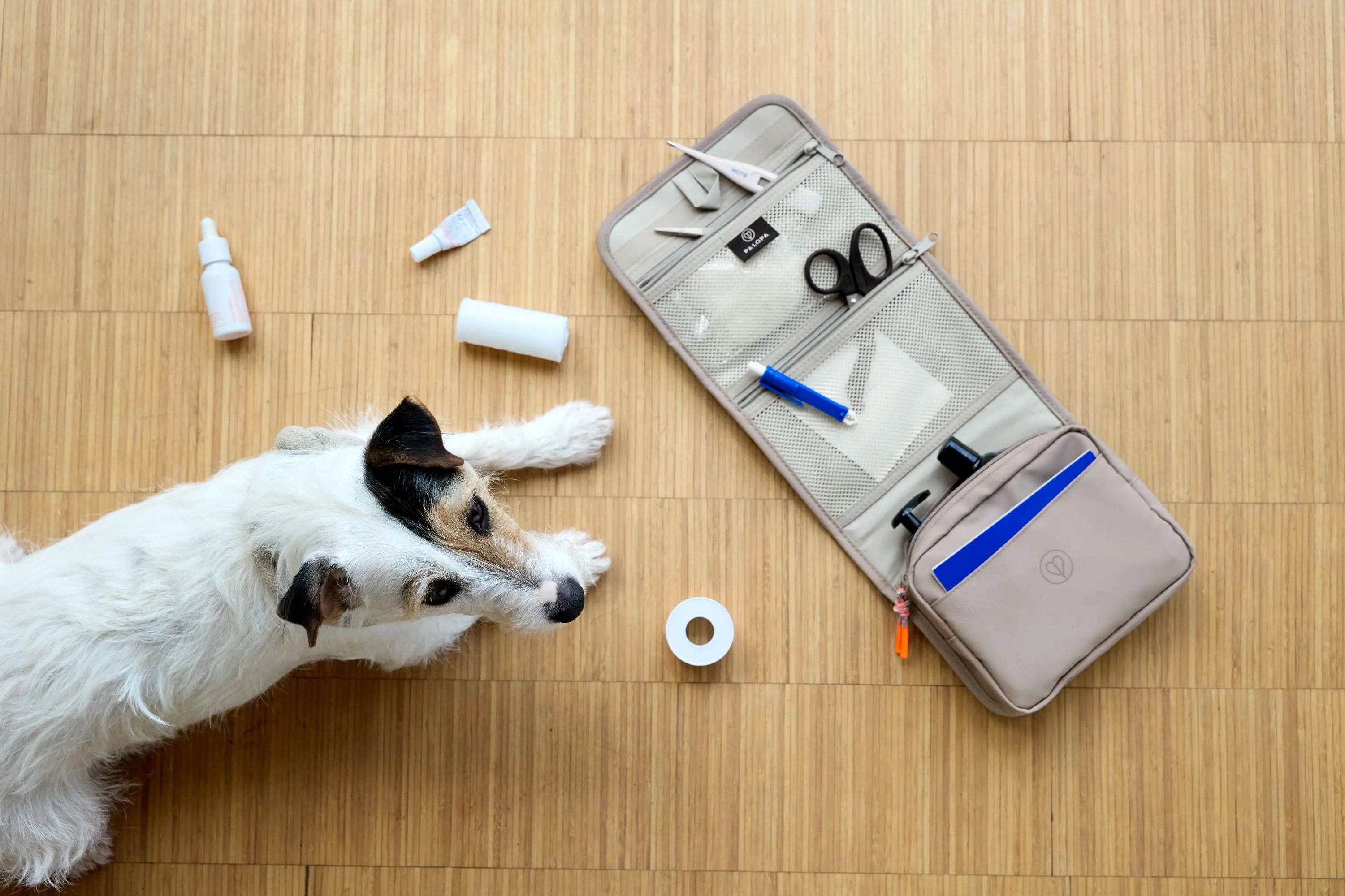 Hunde Erste-Hilfe-Set - Bano, Dunkelgrün PALOPA