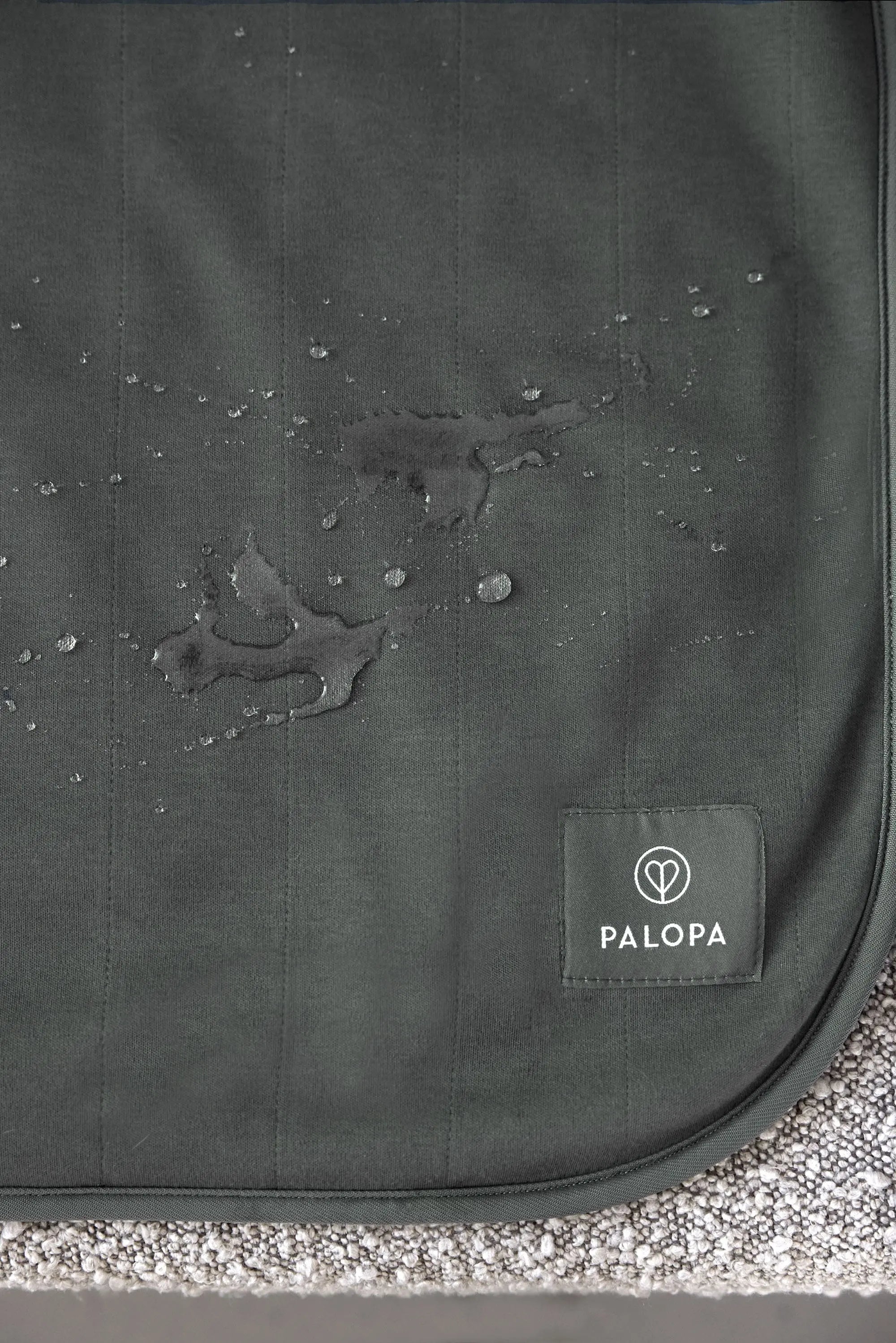 Hunde Schmutzfangmatte - Benti, Anthrazit PALOPA