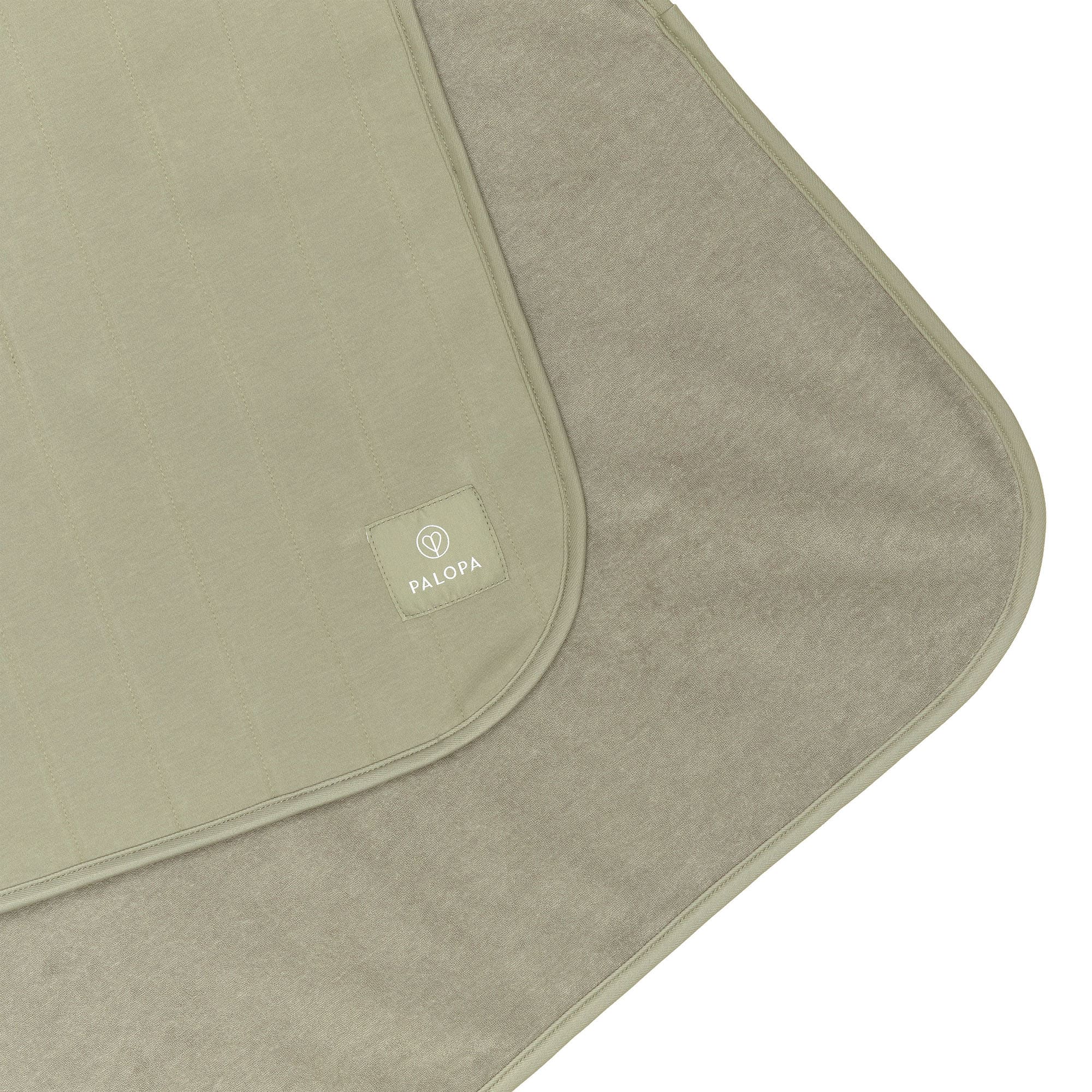 Hunde Schmutzfangmatte - Benti, Grün PALOPA