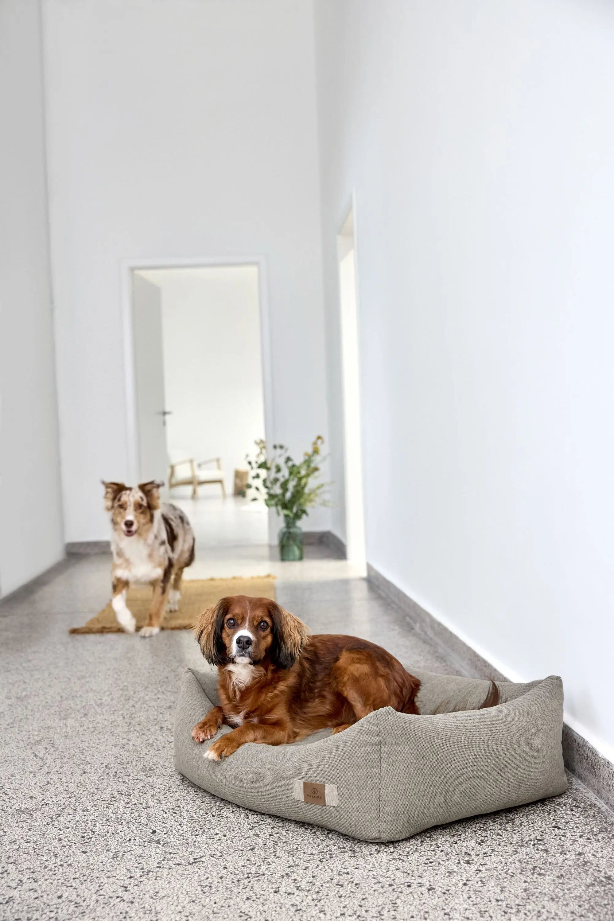 Hundebett Baumwolle - Fred, Grau PALOPA