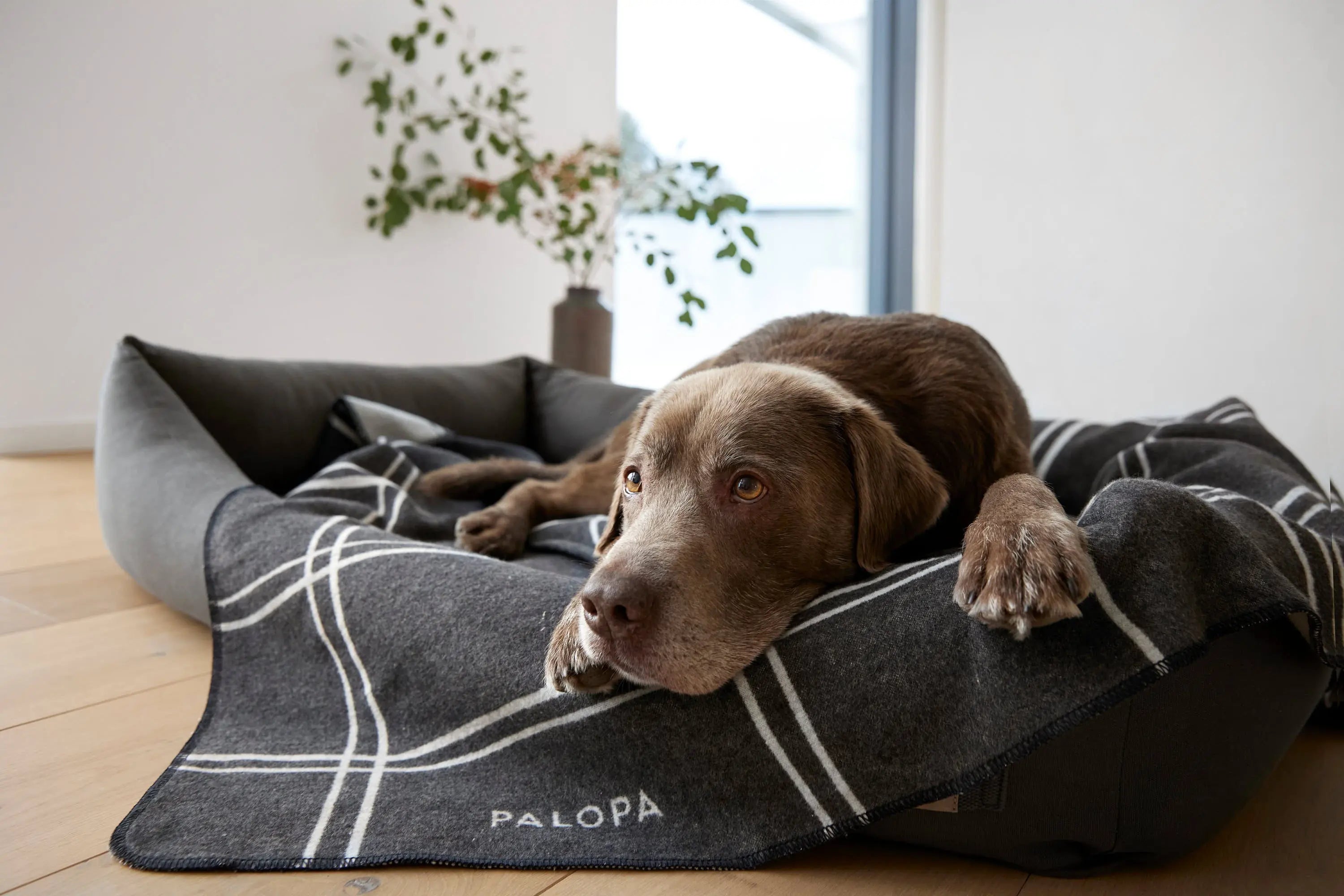 Hundedecke L - Ida, Kariert Anthrazit Hellgrau PALOPA