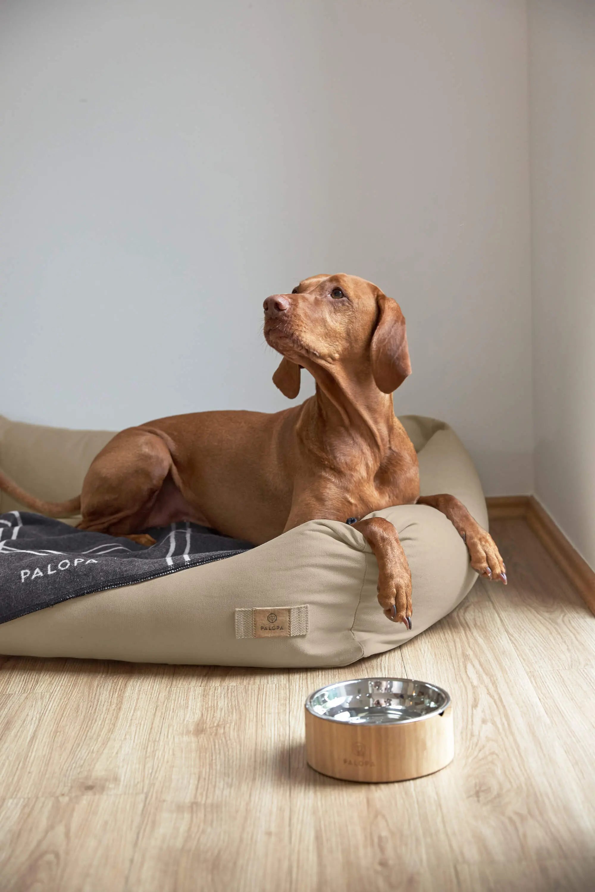 Hundedecke L - Ida, Kariert Anthrazit Hellgrau PALOPA