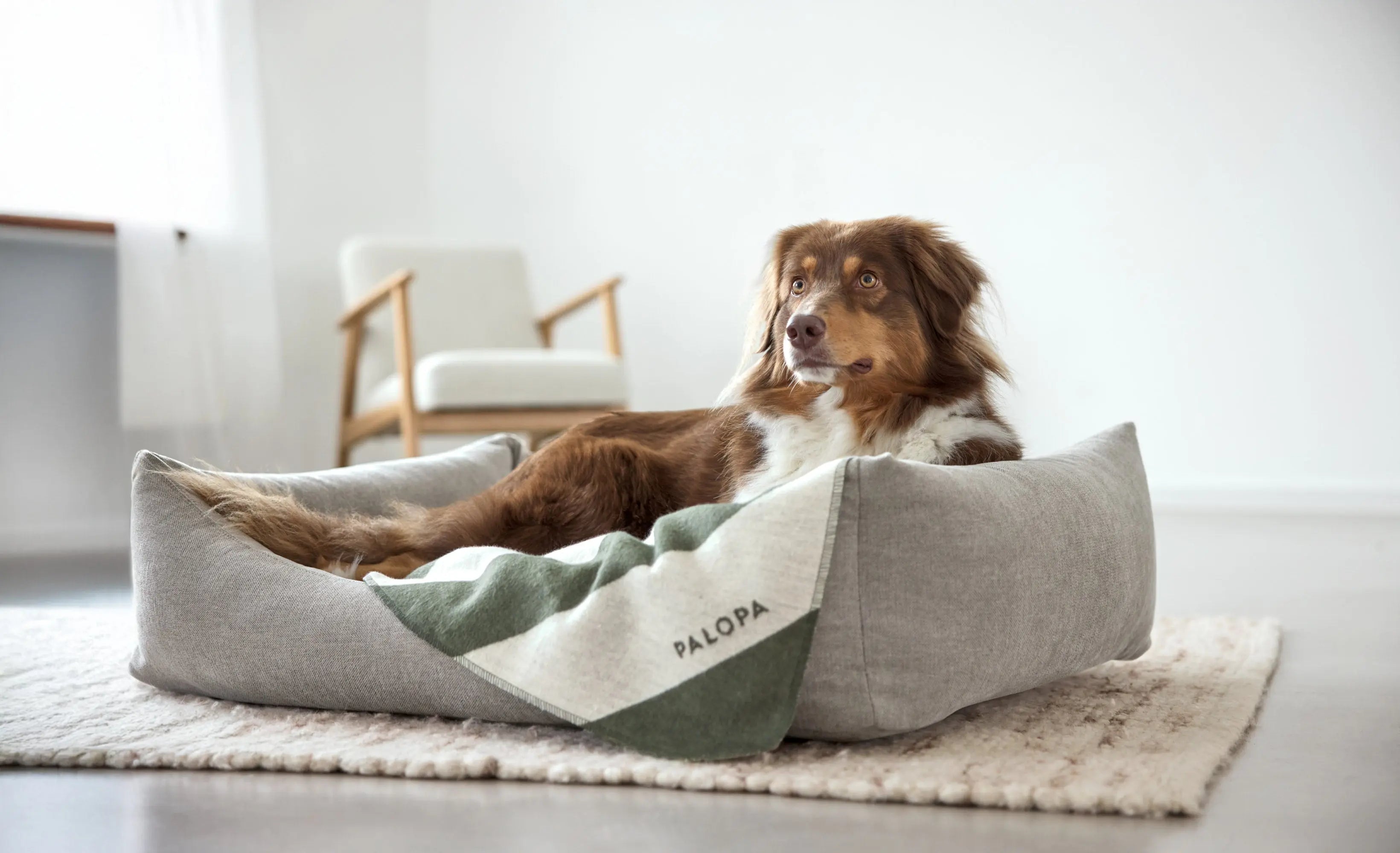 Hundedecke M - Ida, Streifen Dunkelgrün PALOPA