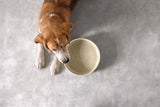 Hundenapf Keramik - Kivas, Natur PALOPA