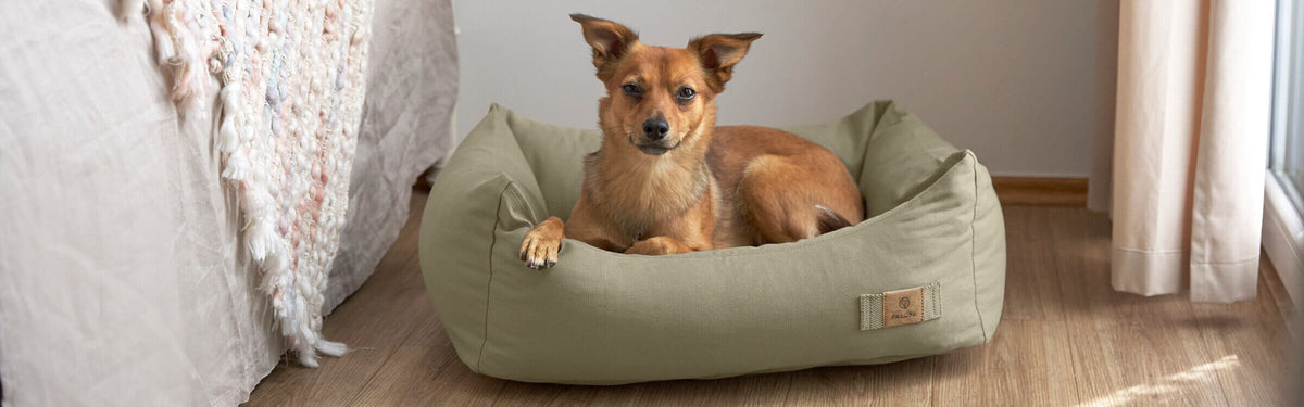 Hundebett Fred Sage mit Hund