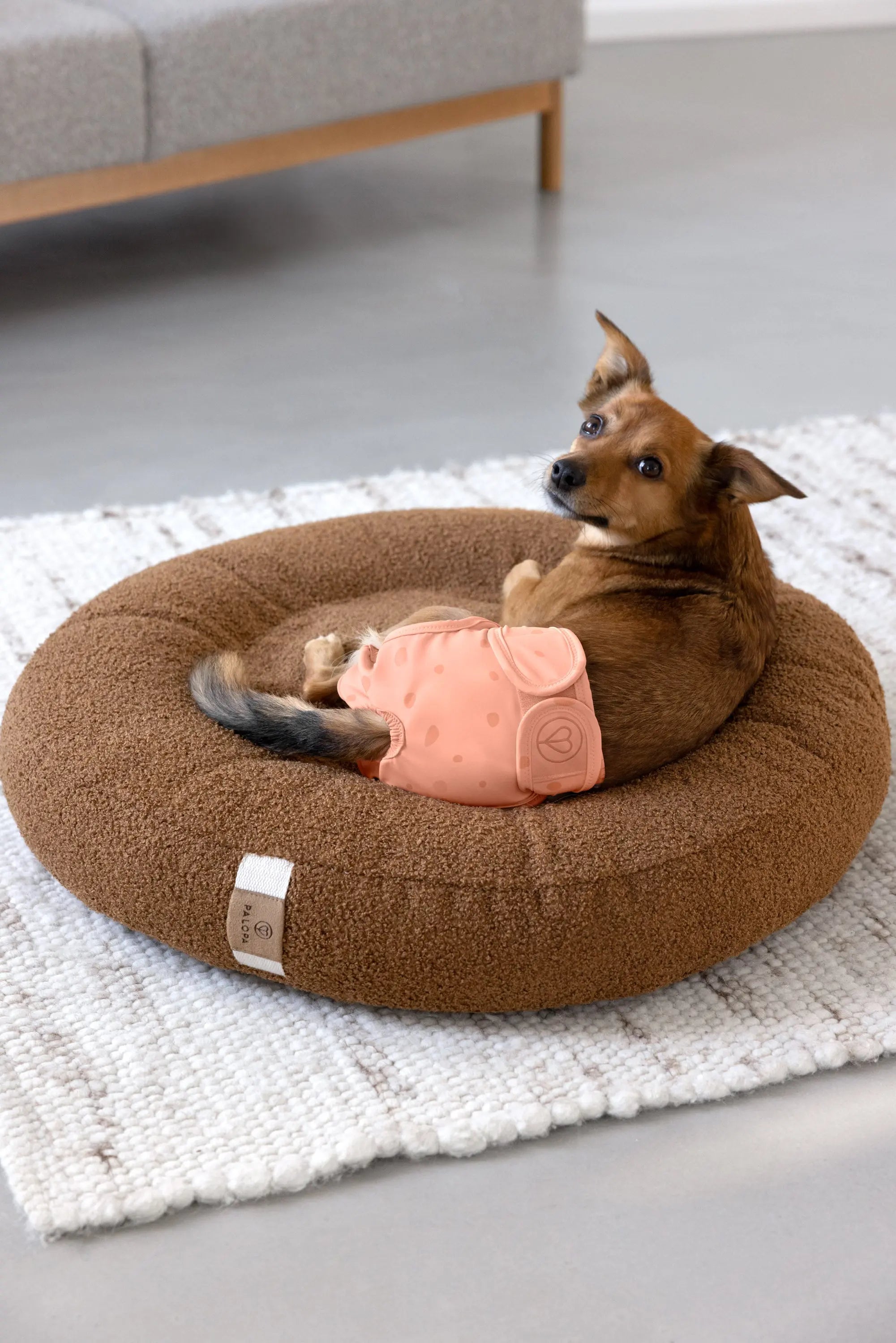 Läufigkeitshose, Hundewindel - Glan, Peach PALOPA