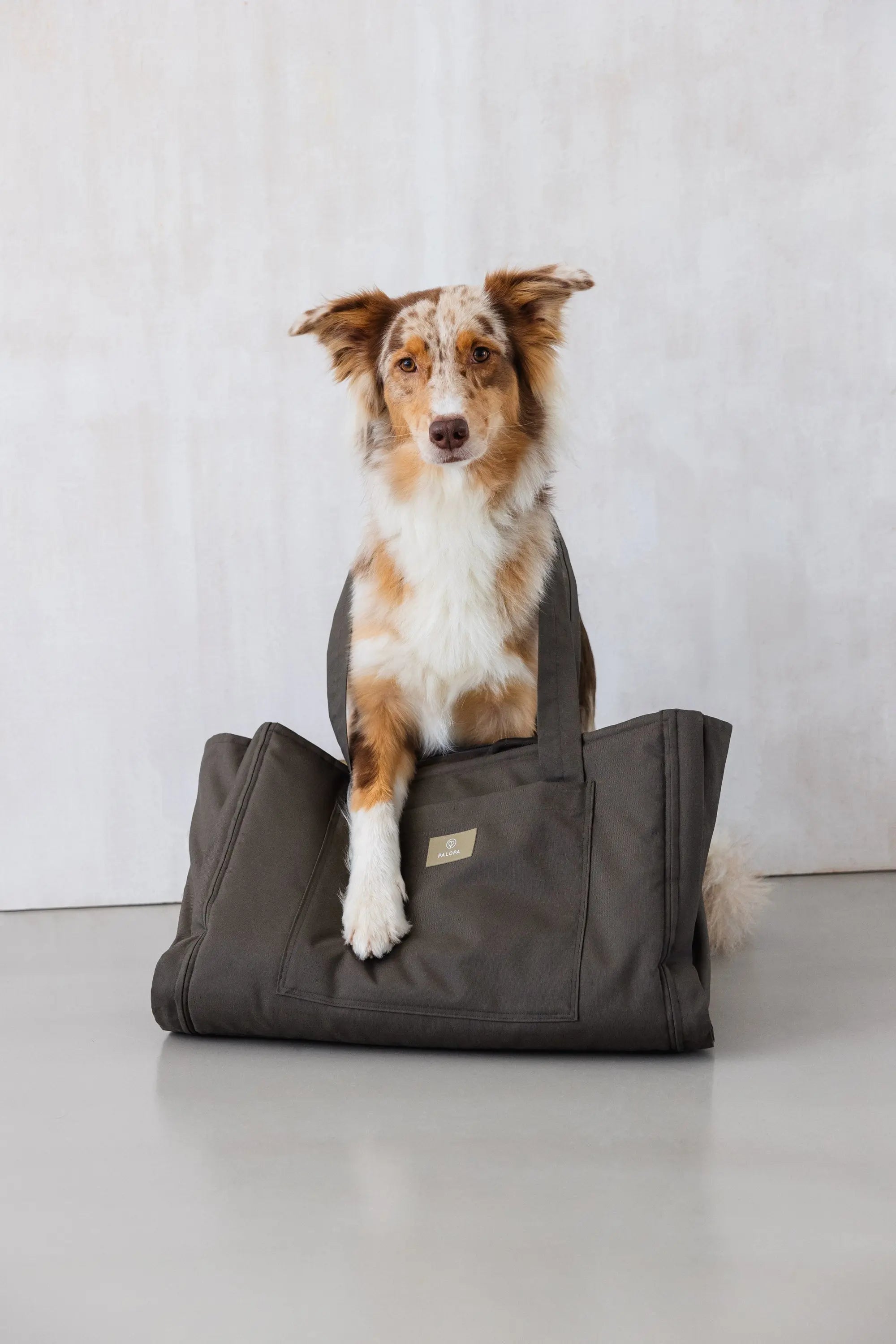 Organizer Tasche - Jari, Anthrazit PALOPA