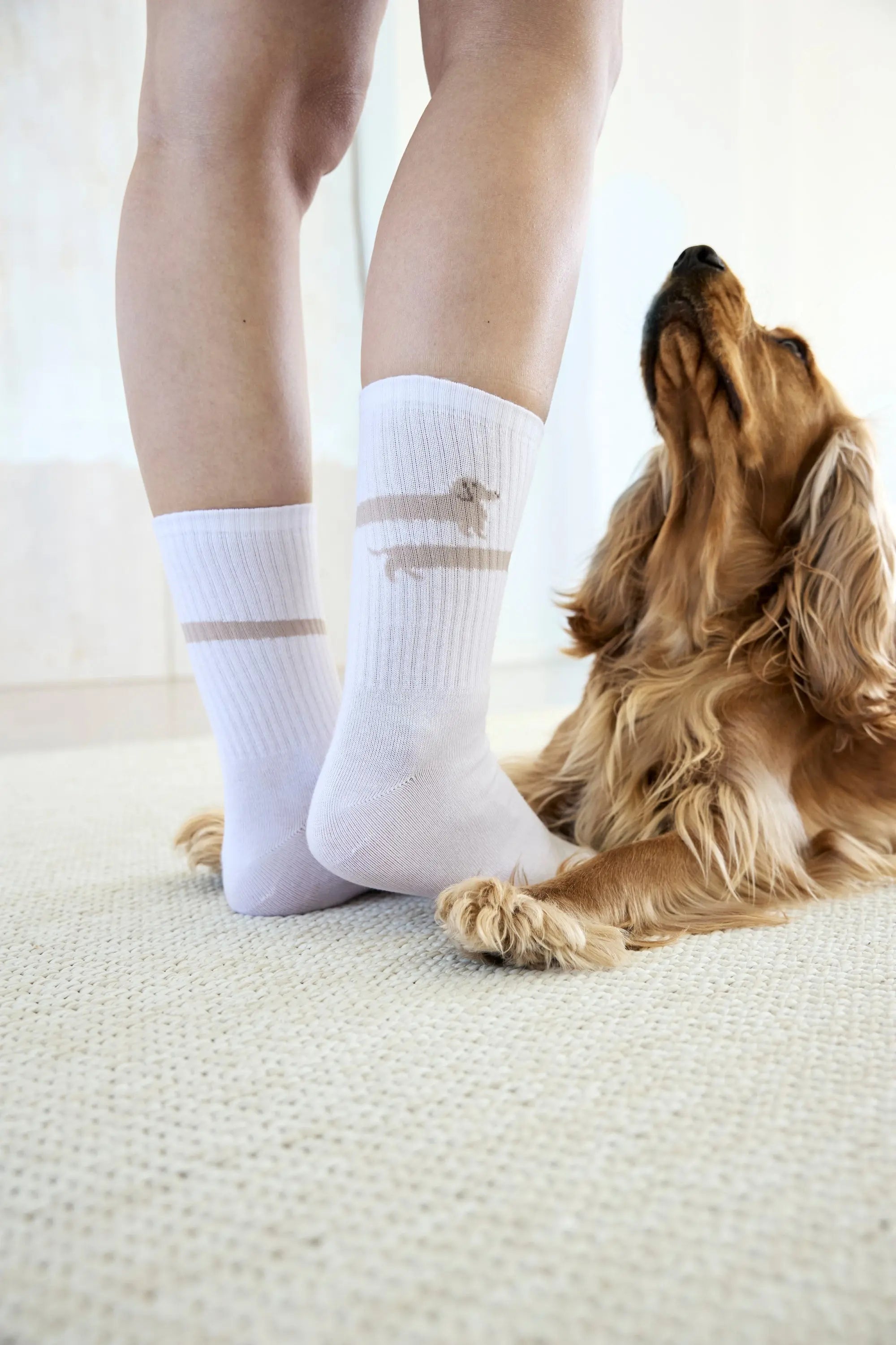 PALOPA Tennis Socken - Long Badger Dog PALOPA
