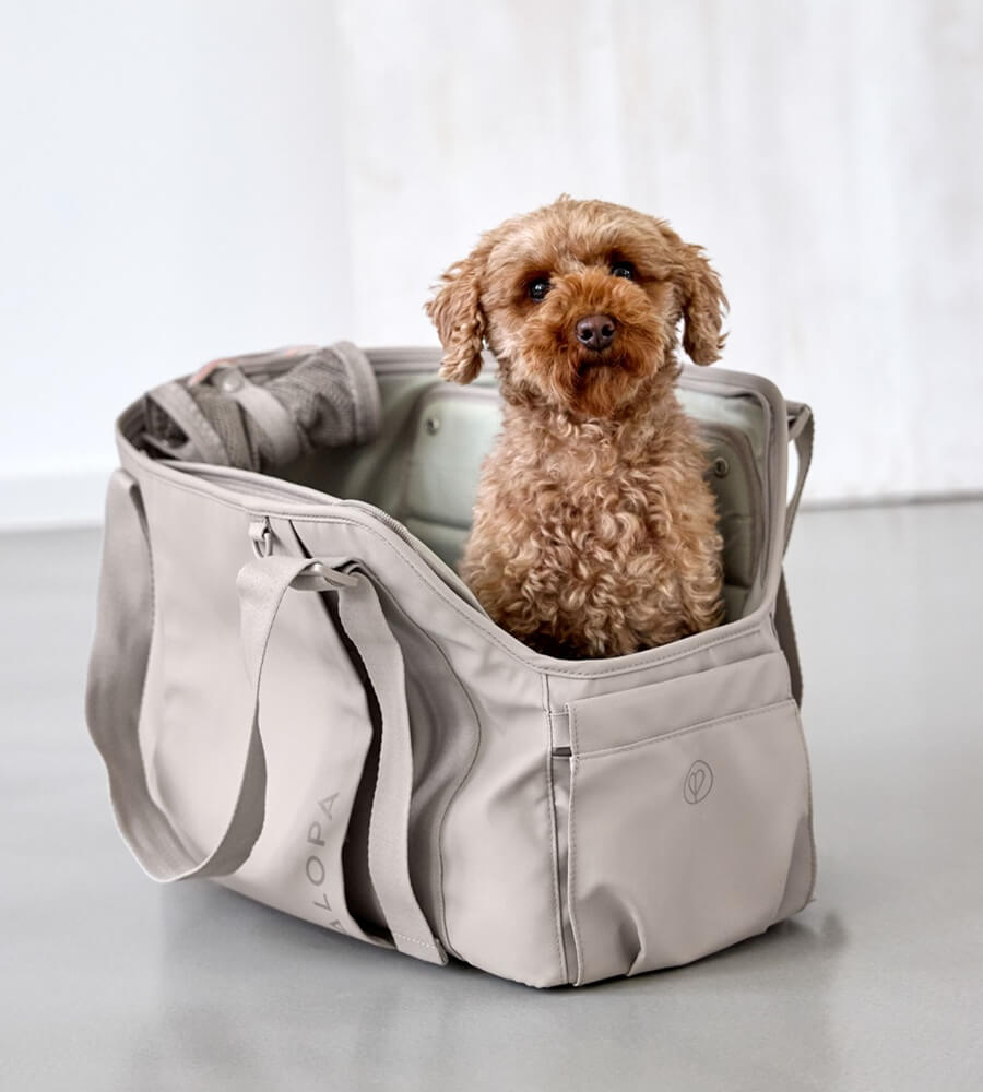 Hundetasche - Weda