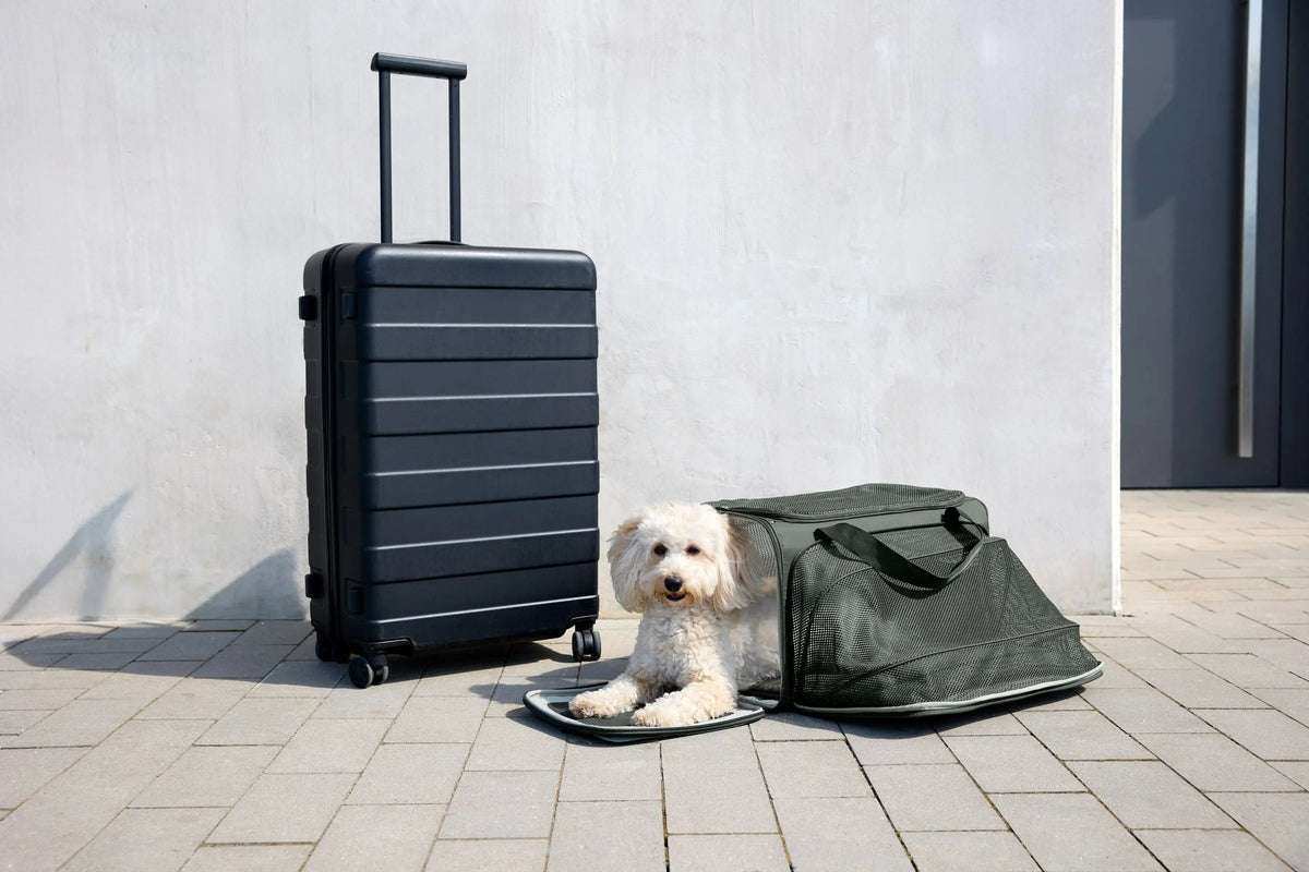 Hundetragetasche - Benno