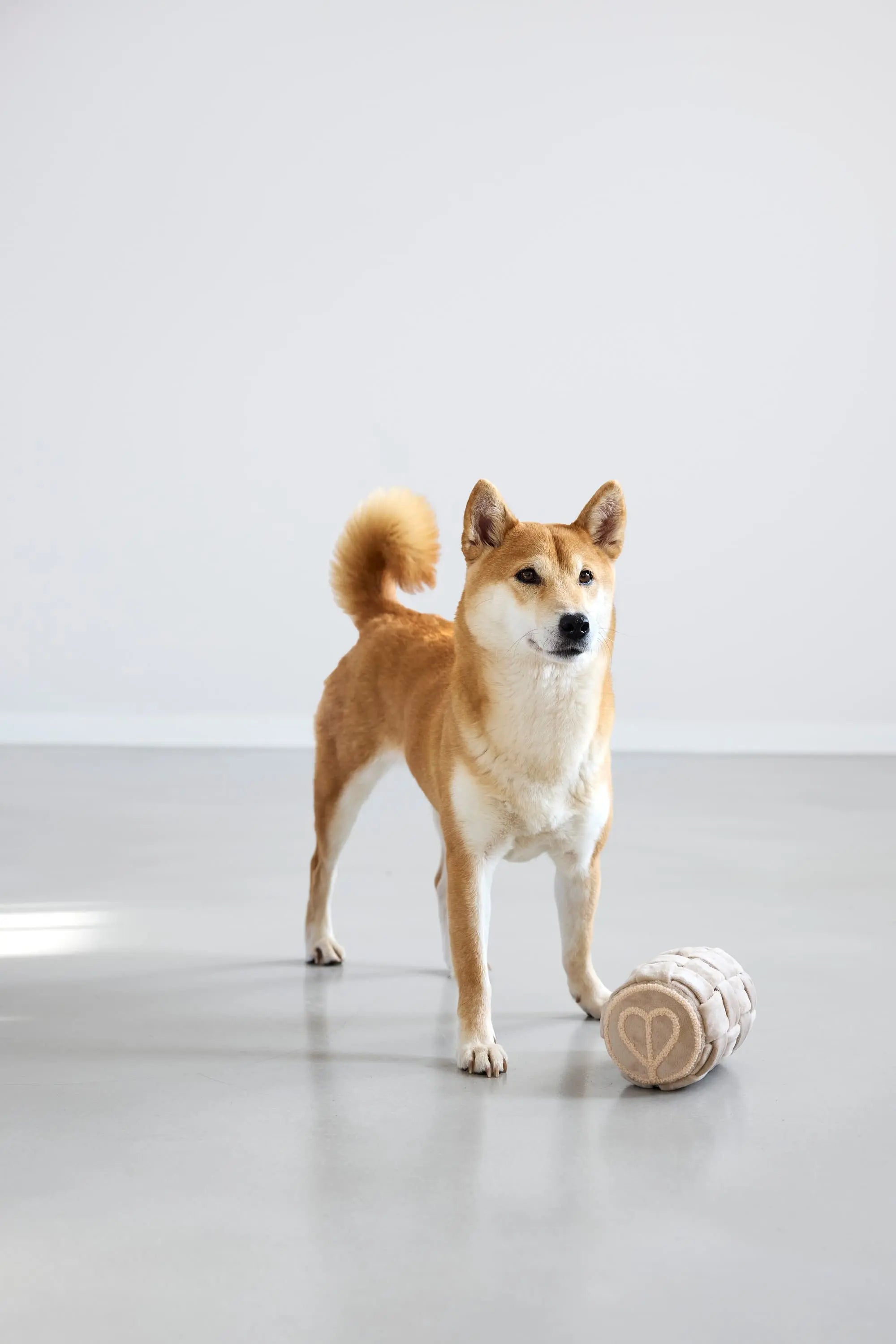 Jouet pour chien - Kalpi, Beige