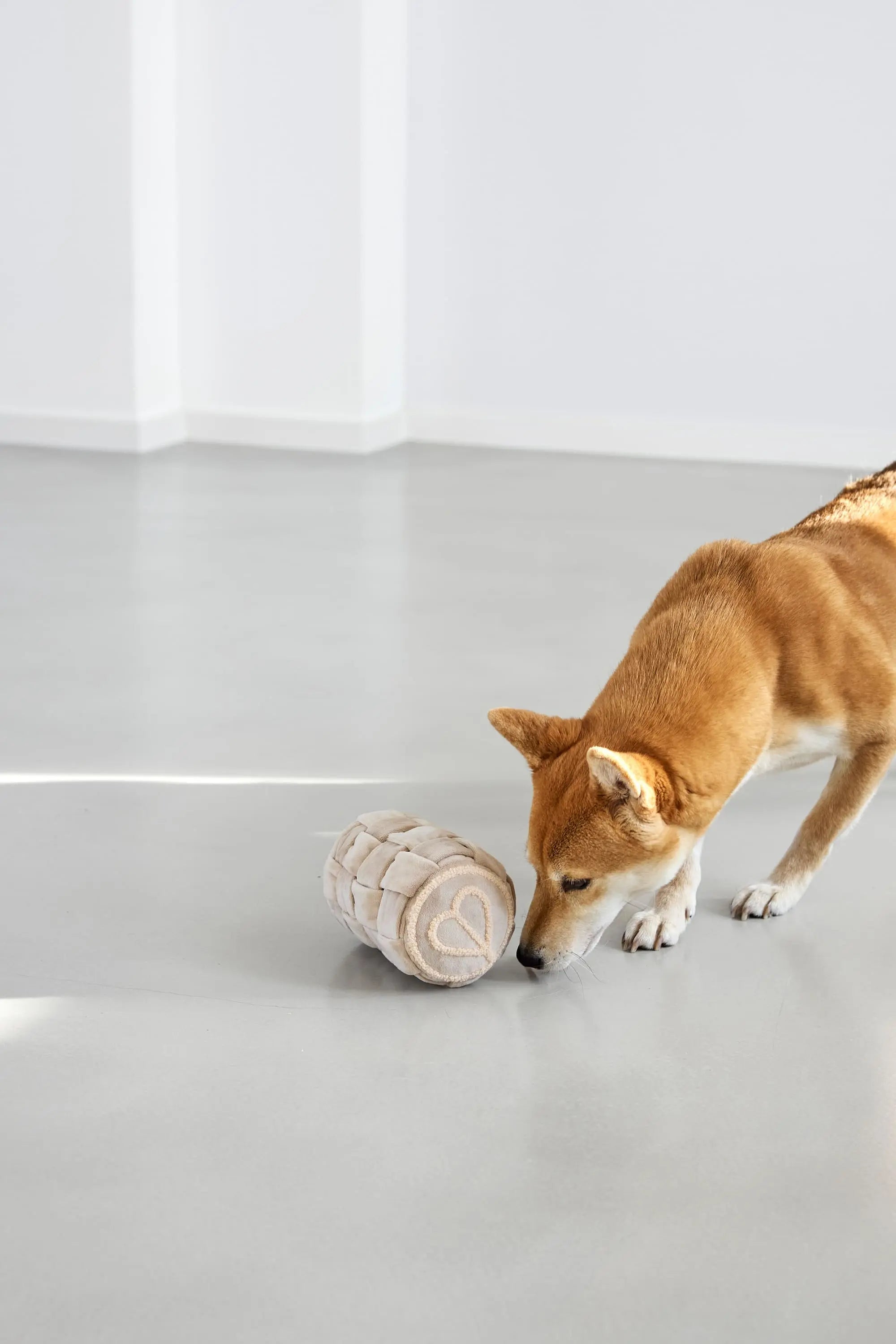 Jouet pour chien - Kalpi, Beige