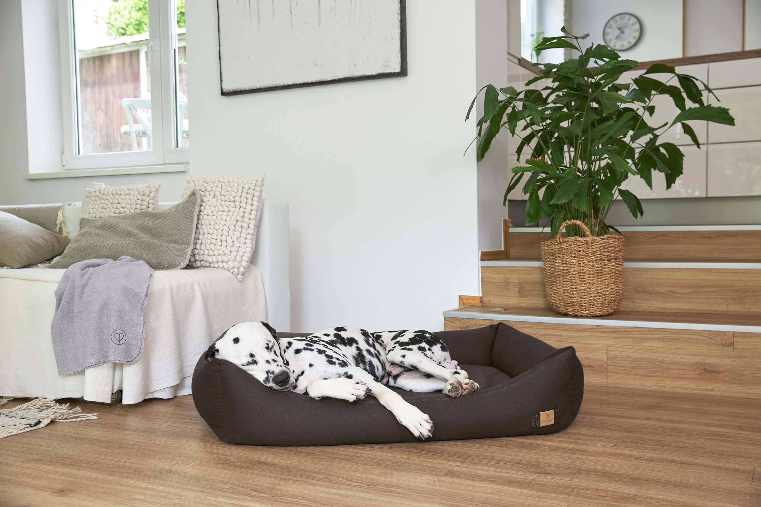 Hundebett waschbar nachhaltige Materialien - PALOPA