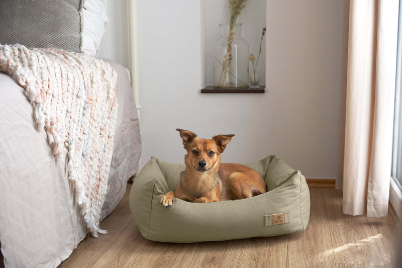 Hundebett Baumwolle - Fred, Salbei